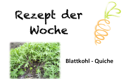 PDF Rezept der Woche
Schnittsalat
Radieschen
PakChoi
Spinat
Blattkohl
Rucola
Dill